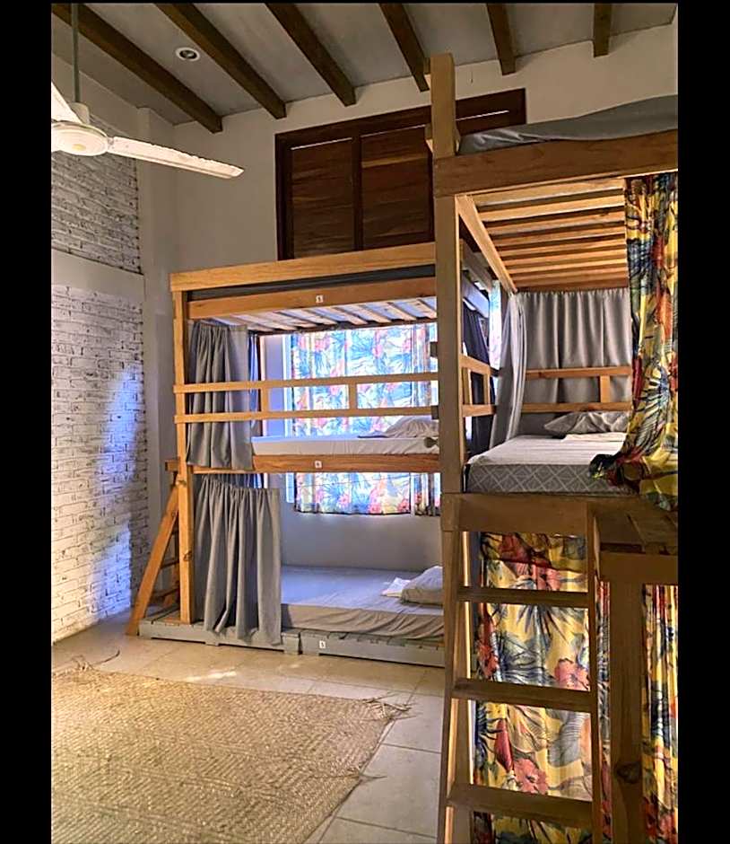 La Palmera Hostel