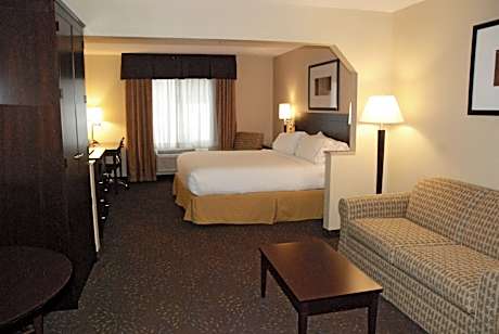 Suite King Bed Non Smoking
