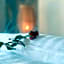Sapa Eco Bungalows & Spa