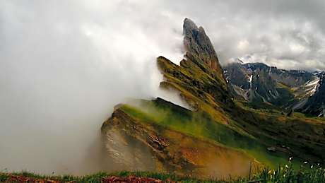 Apartment Hotel Elvis