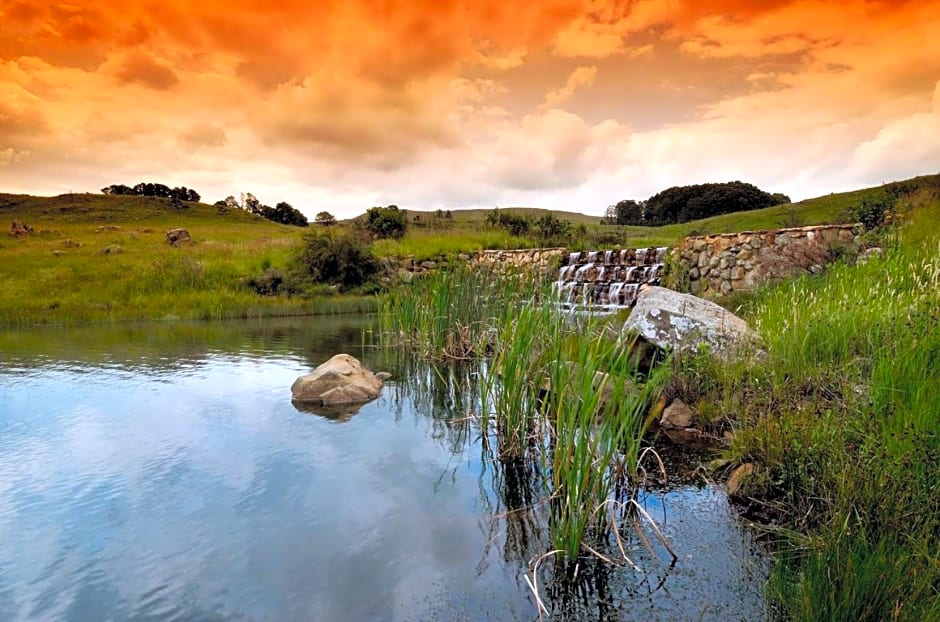 Amberley Mountain Reserve