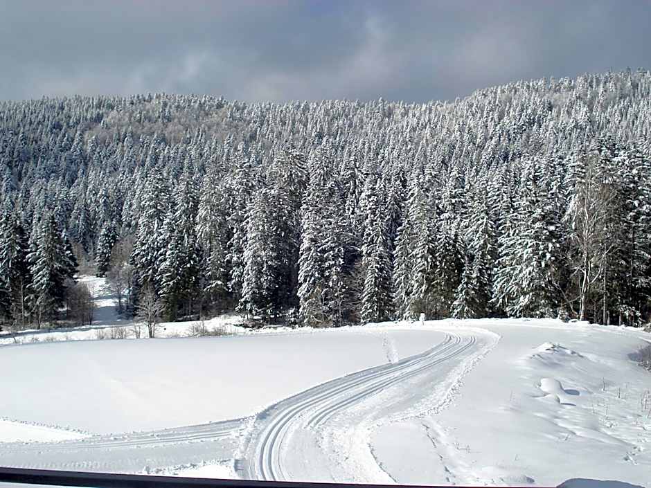 Domaine Des Hauts Viaux