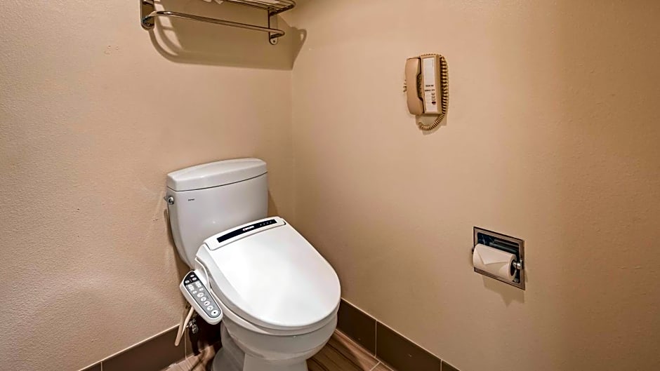 Best Western Plus Executive Inn