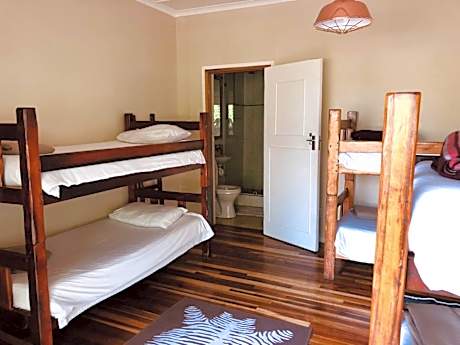 Bed in 6-Bed Dormitory Room