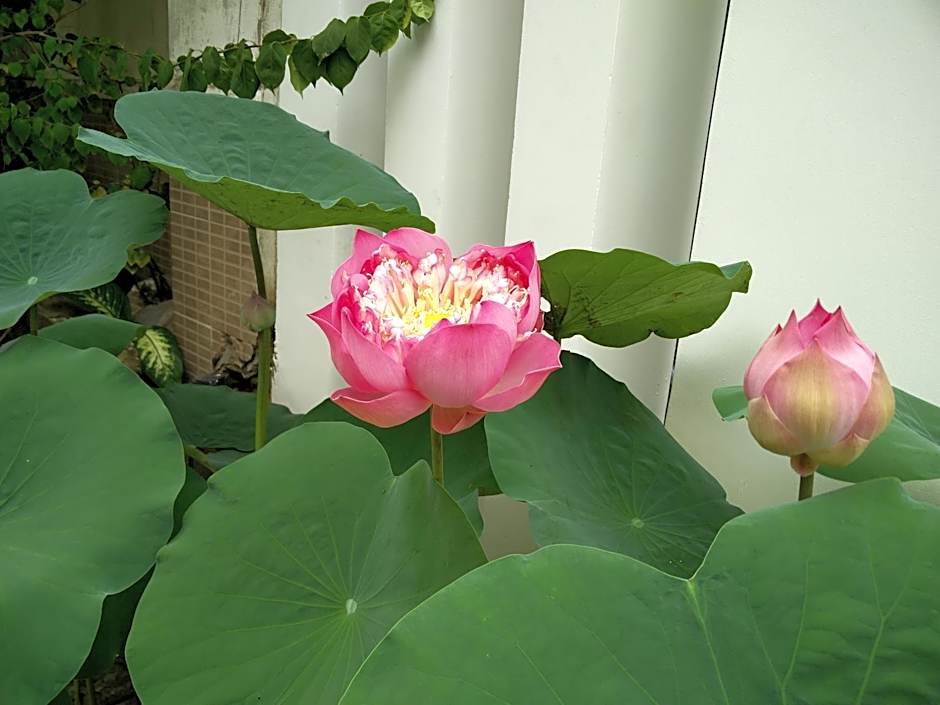 Sen Boutique House By 5H