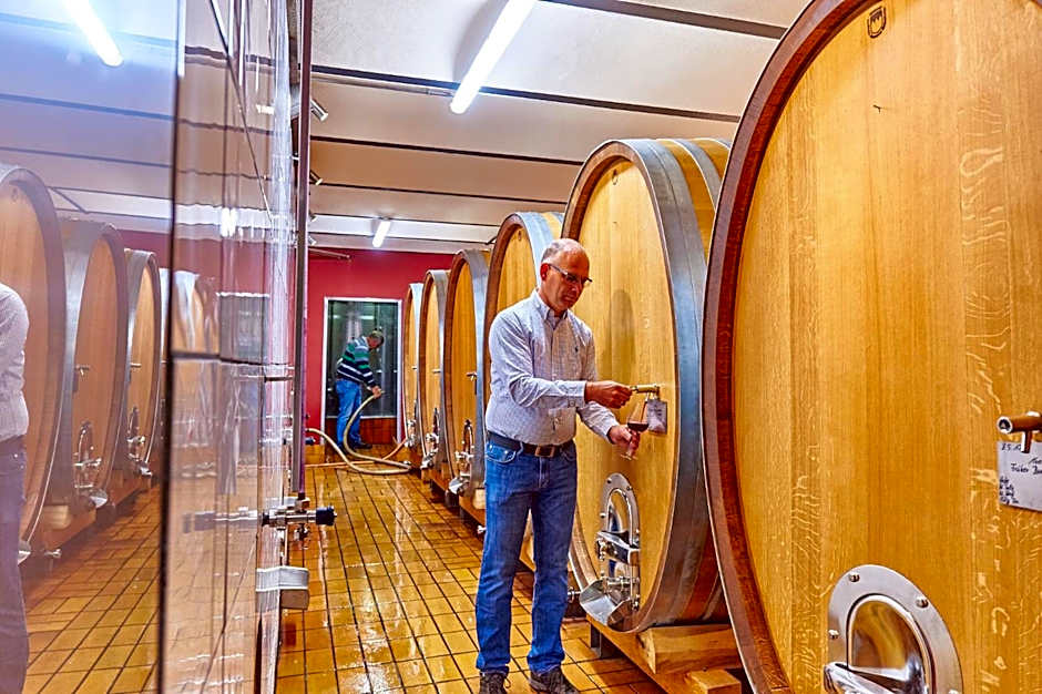 Dohlmühle Hotel & Weingut