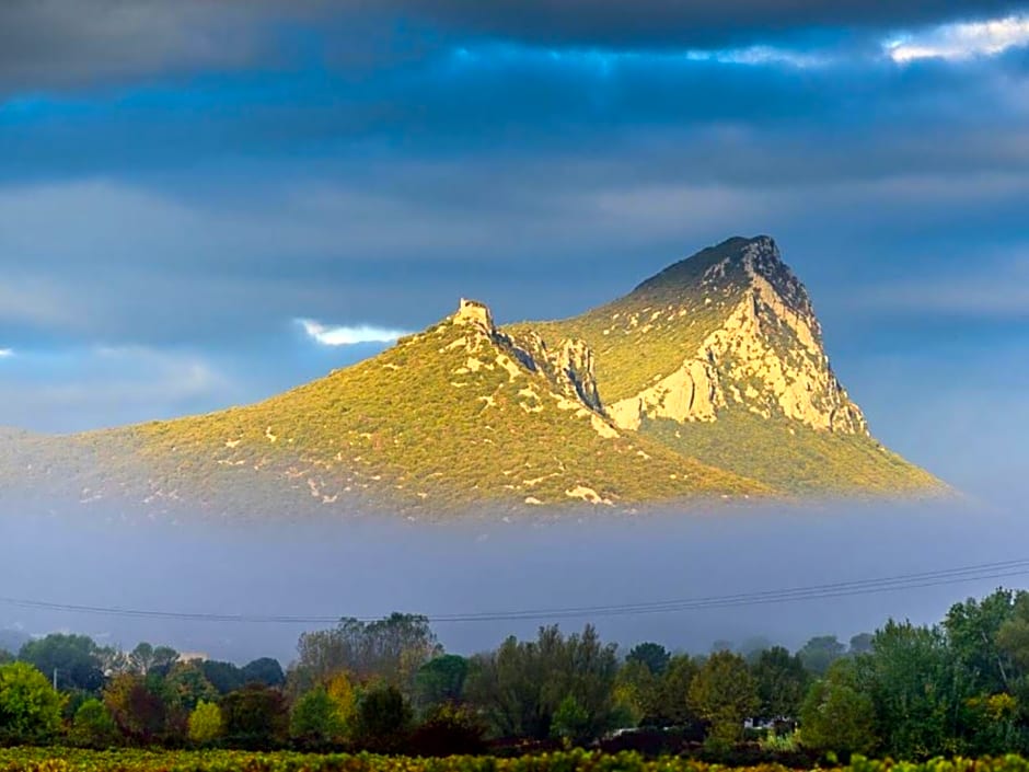 Le Castellas du Pic St Loup