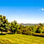 Borgo Malvasia- La Quercia