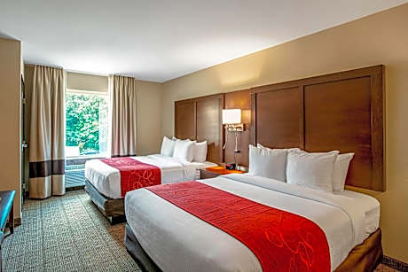 Queen Room with Two Queen Beds - Non-Smoking
