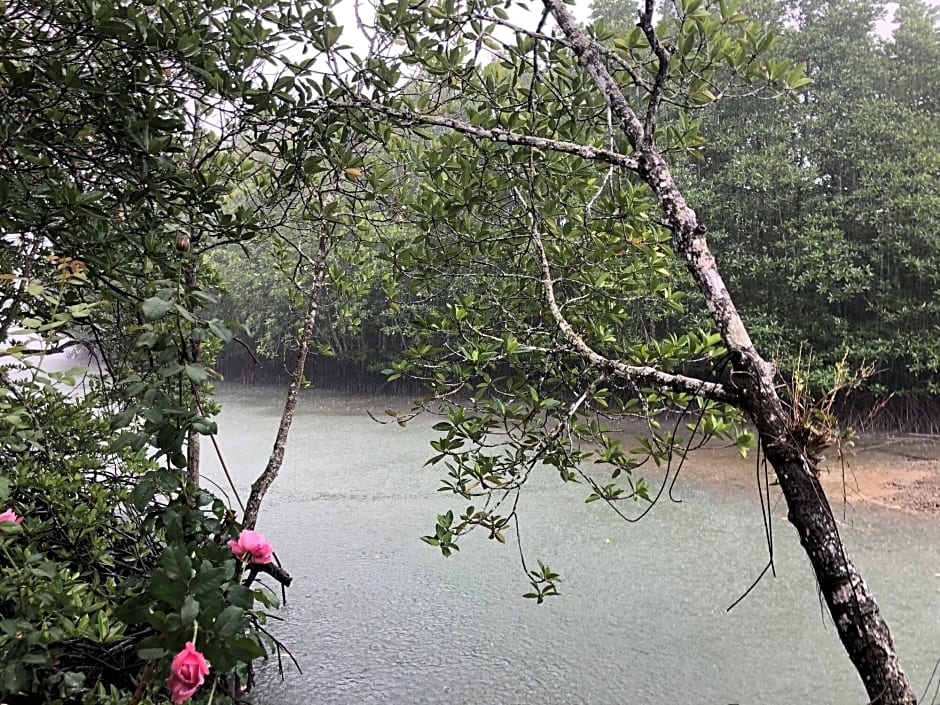 Baanchanlay Kohchang