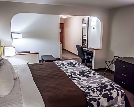 1 King Bed, Suite, Nonsmoking