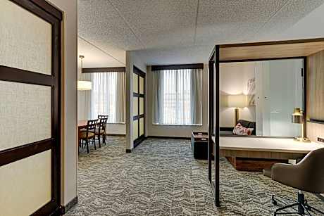1 Bedroom Junior Suite, 1 King, Sofa bed