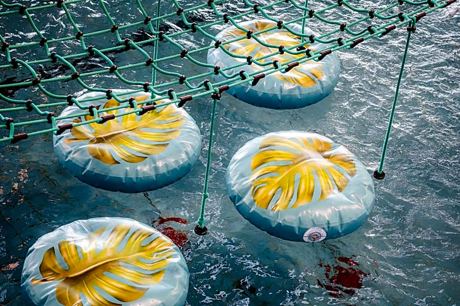 Zespół Dolina Białego - Willa Pan Tadeusz