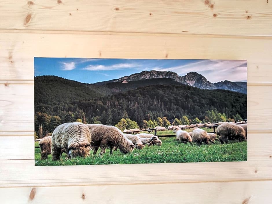 Góralskie Domki na Podhalu - z jacuzzi