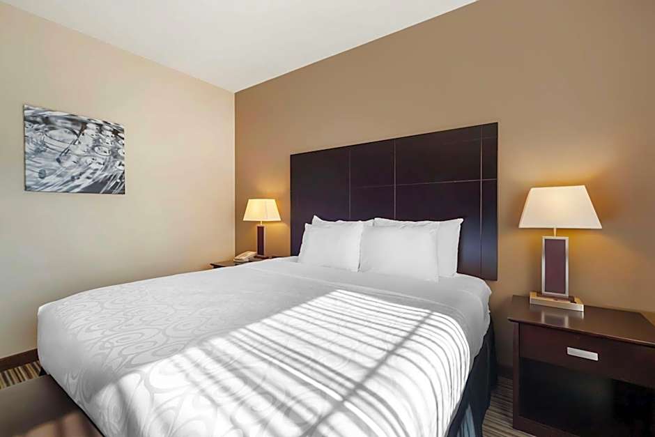 Best Western Plus Peace River Hotel & Suites