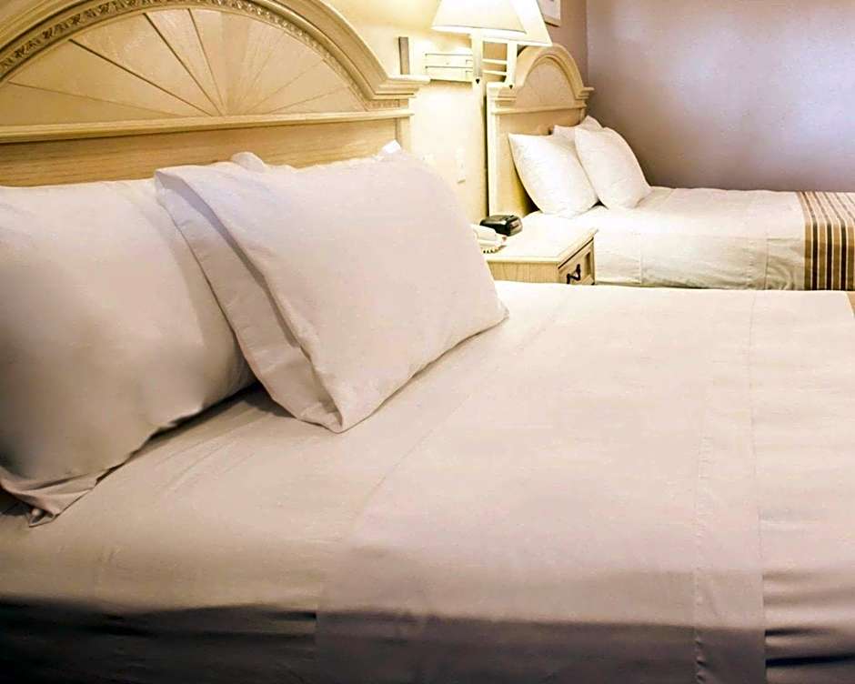 Rodeway Inn Apopka