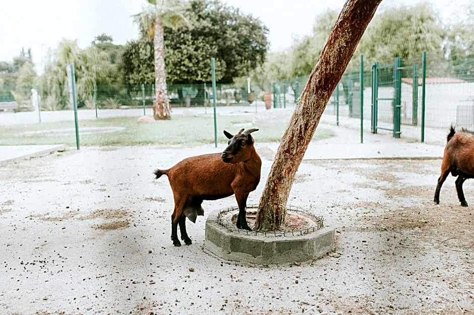 Quinta do Pinheiro Hotel E Eventos by Grupo Quinta dos Lagos