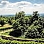 Burg Bernstein