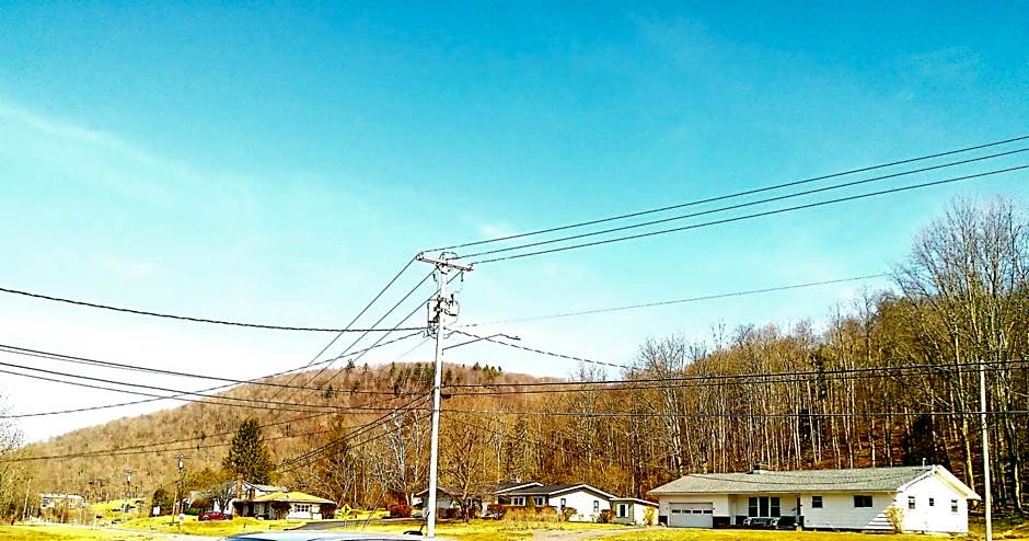 Buena Vista Inn Motel