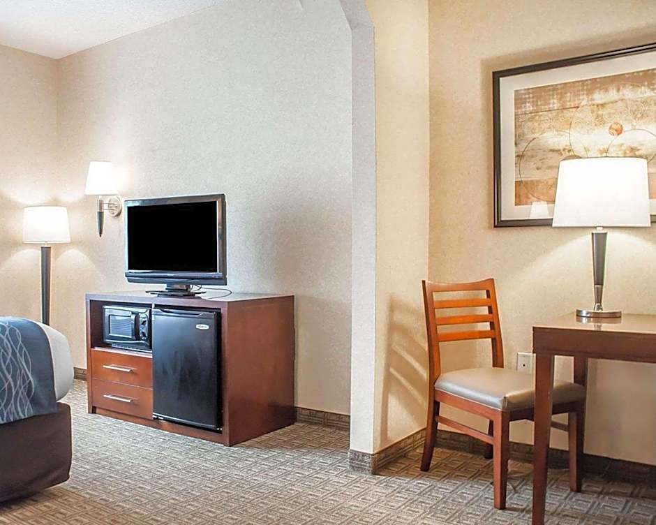 Comfort Inn & Suites Hamburg - Buffalo South