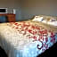 Adnans Hotel