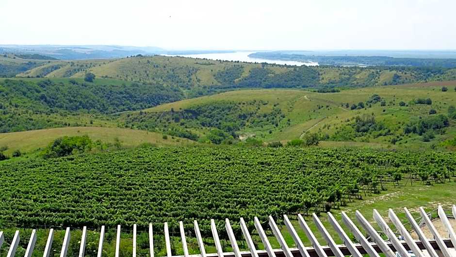 Seven Generations Winery Hotel