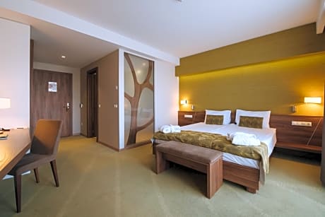 Premium Double or Twin Room