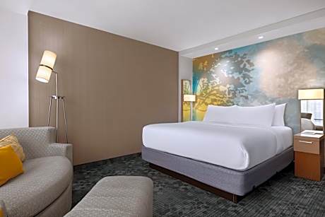 King Room with Sofa Bed