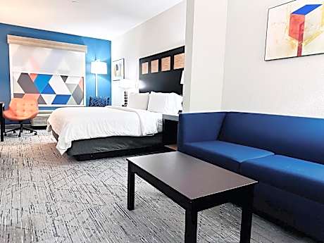 1 King Suite Sofa Bed