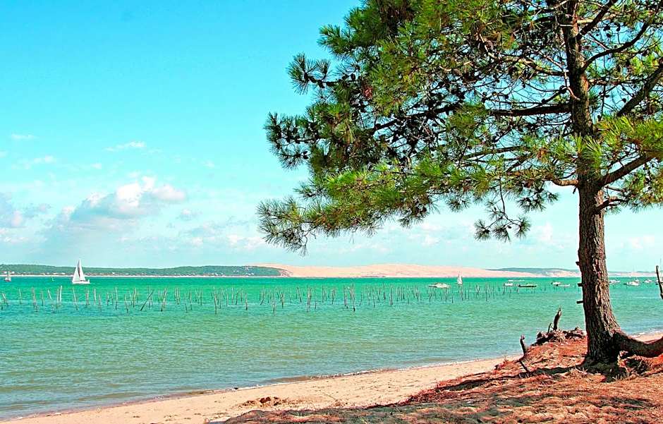 VVF Lège Cap Ferret