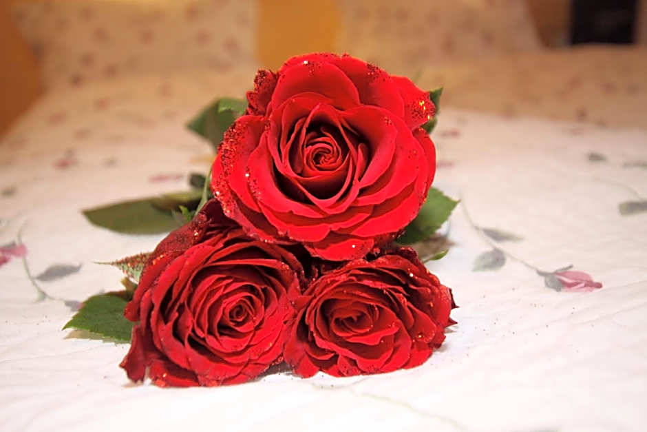 Gästeheim Anni Winkler