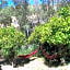 Vegan Guesthouse Finca Pereila