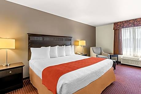 1 King Bed, Non-Smoking, Wireless High-Speed Internet, Microwave And Refrigerator, Hairdryer, Coffee