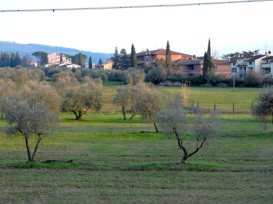 B&B Querceto