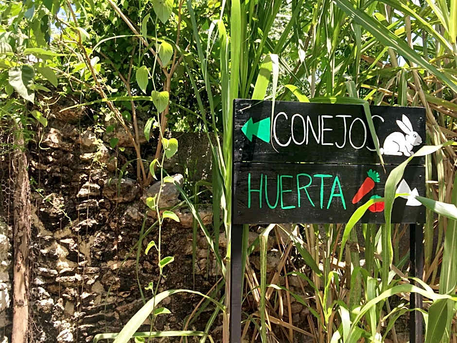 Yaxche Centro Hostal y Camping