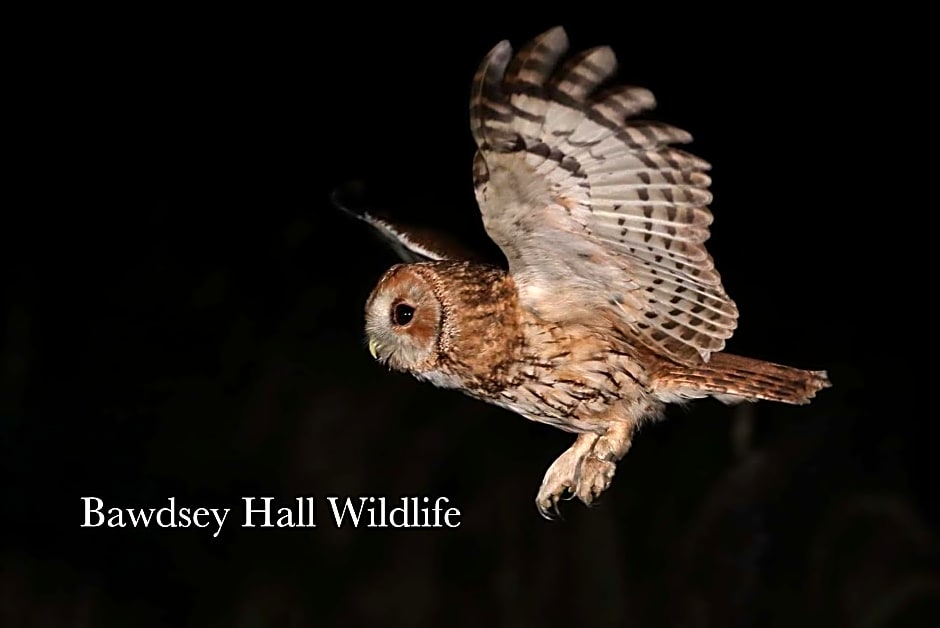 Bawdsey Hall