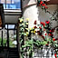 Hosteria Catalana
