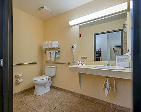 King Room - Disability Access Roll-in Shower - Non Smoking