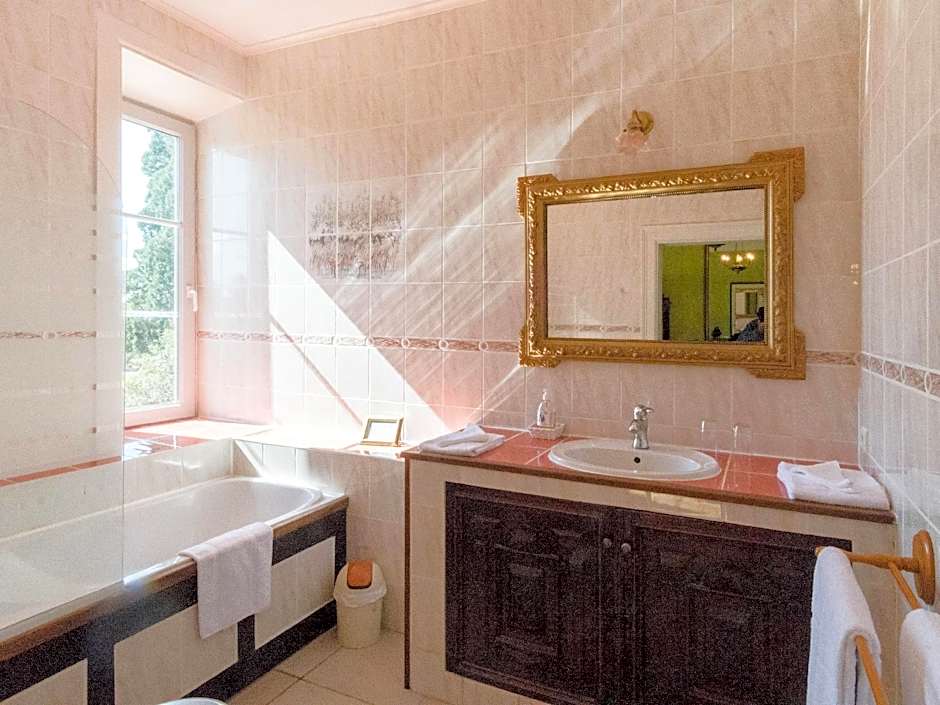 Château de Saint-Antoine