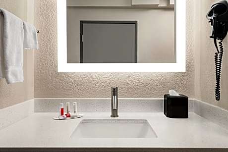 1 King Bed  Suite  Non-Smoking