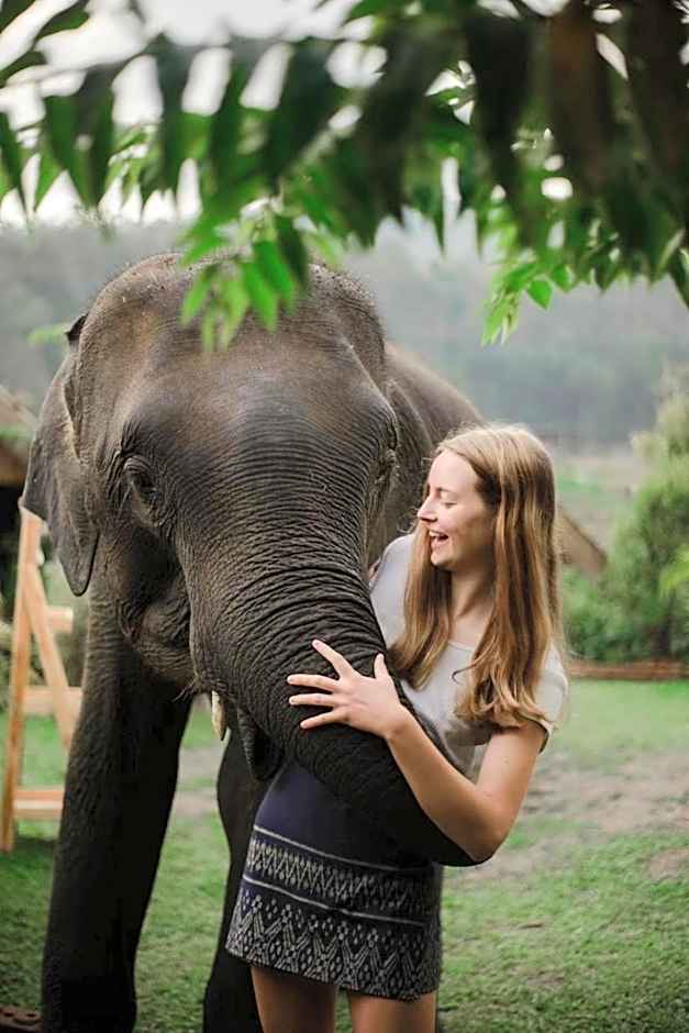 3 Pok Maewang jinxiang Gold elephant park