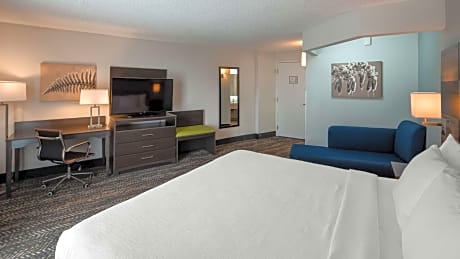 1 King Bed Non-Smoking Pet Friendly Room Walk In Shower Full Breakfast