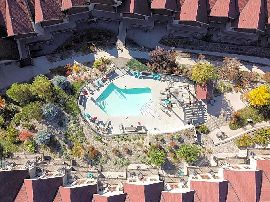 The Castle at Swan Lake