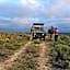 Garden Route Safari Camp