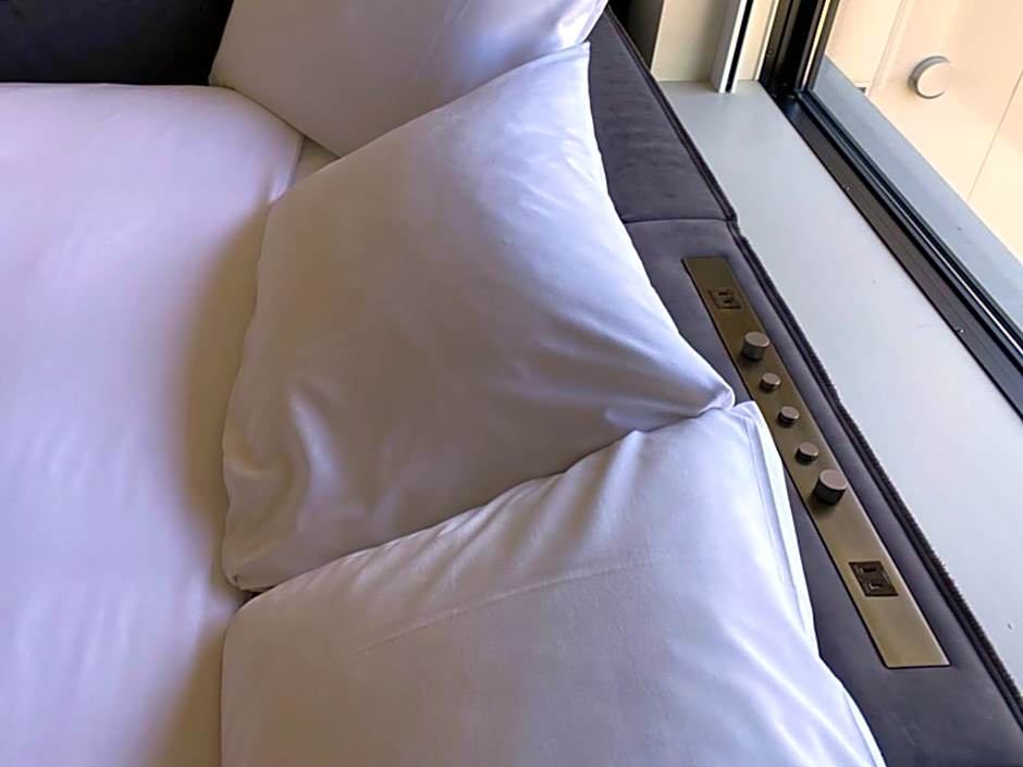 Photo 1 of 6 of Superior 1 King Bed