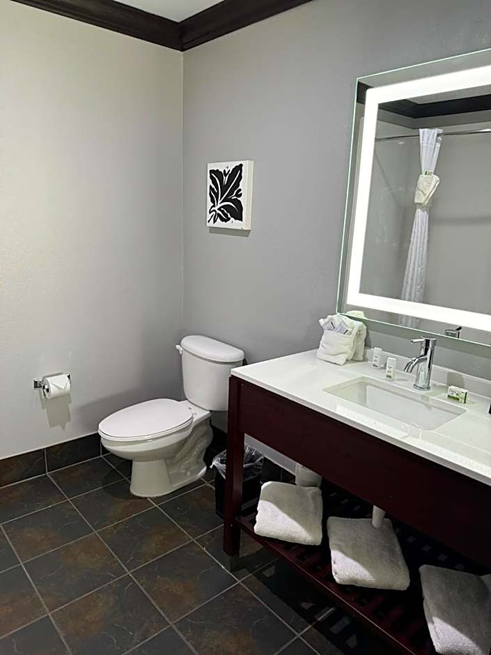 Hawthorn Suites By Wyndham Lubbock