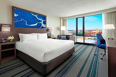 River View, Guest room, 1 King (Mobility &amp; Hearing Accessible w/ Roll-in Shower)