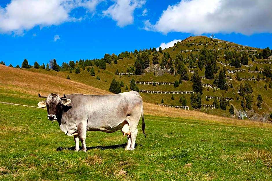 Götznerhof - Self-Check-in