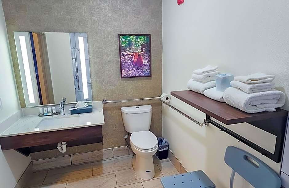 La Quinta Inn & Suites by Wyndham Dallas Mesquite