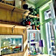 My Clean House